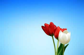 DDOS在线压力测试