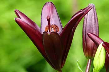 想买正版去哪的DDOS在线压力测试