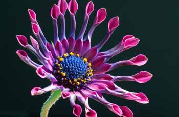 攻击网站的方法