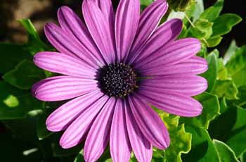 自动处理高效的免费ddos网页端