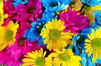 攻击网站的方法